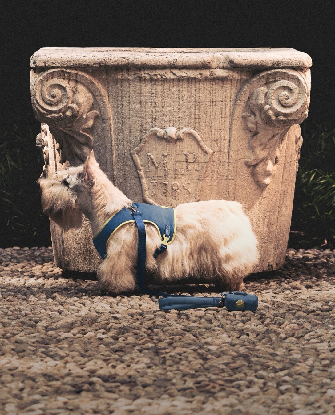 Armani petwear Autumn 2026 with Poldo Dog Couture